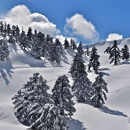 فندق Valia Nostra Escape سميكسي