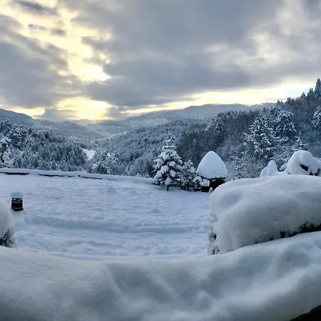 Valia Nostra Escape سميكسي