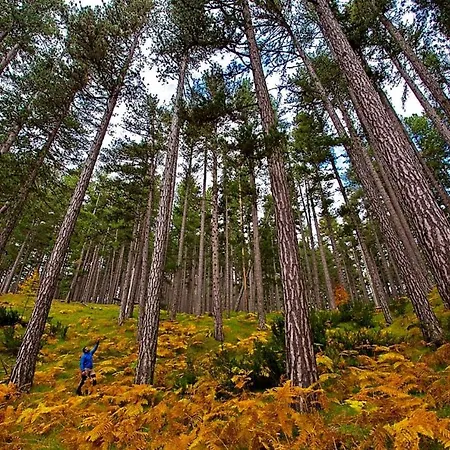 Valia Nostra Escape فندق سميكسي