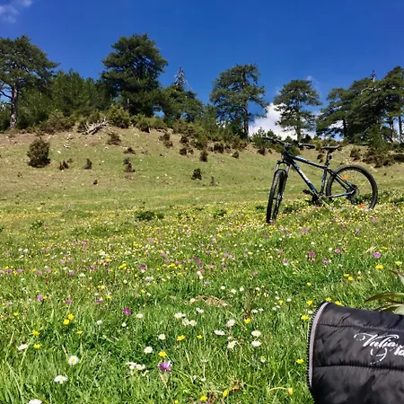 Valia Nostra Escape سميكسي