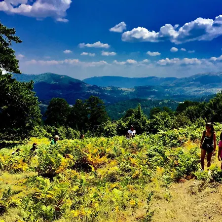 Valia Nostra Escape 3* سميكسي