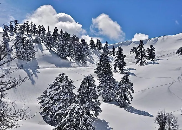 Hotel Valia Nostra Escape Smixi