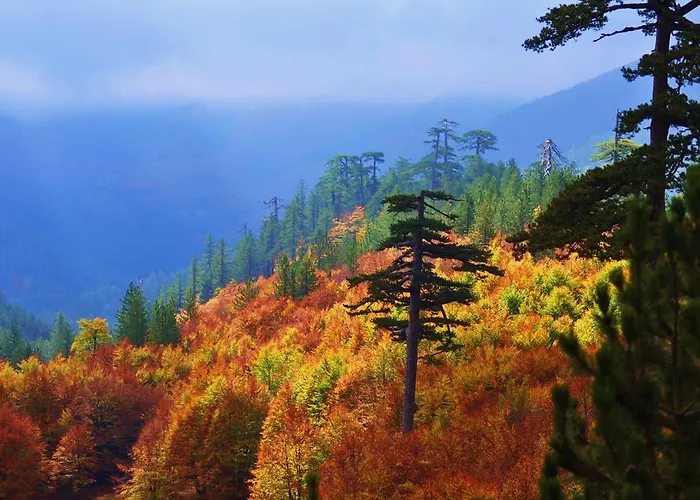 Valia Nostra Escape Smixi