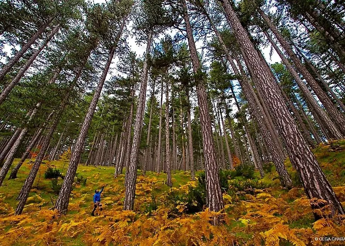 Valia Nostra Escape Hotel Smixi