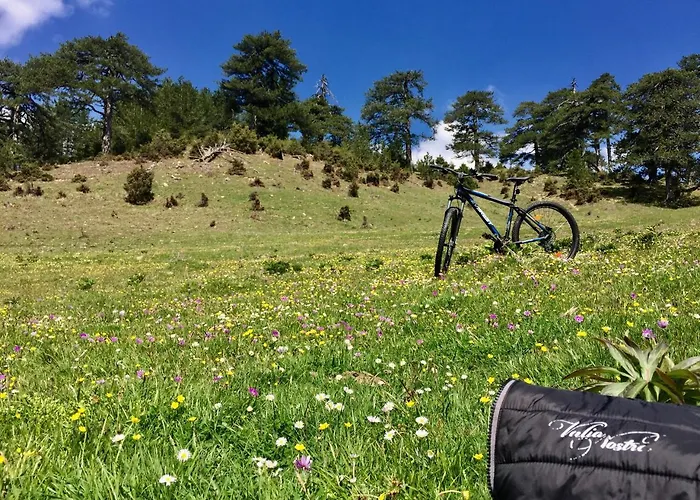 Valia Nostra Escape Smixi