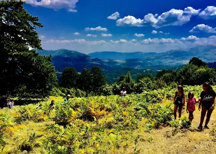 Valia Nostra Escape 3* Smixi