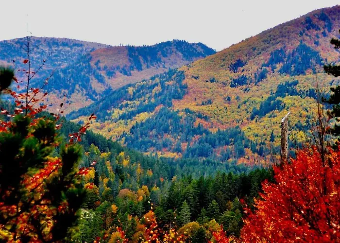 Valia Nostra Escape Hotel 3*